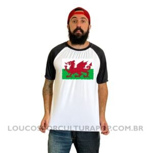 Camiseta Masculina Raglan Bandeira do País de Gales